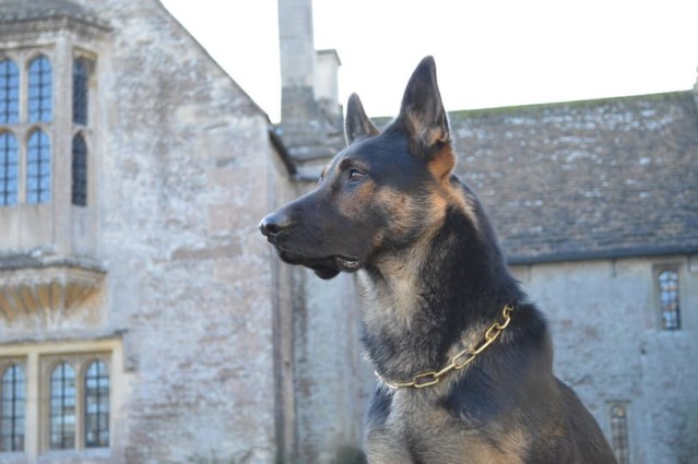 Home security systems