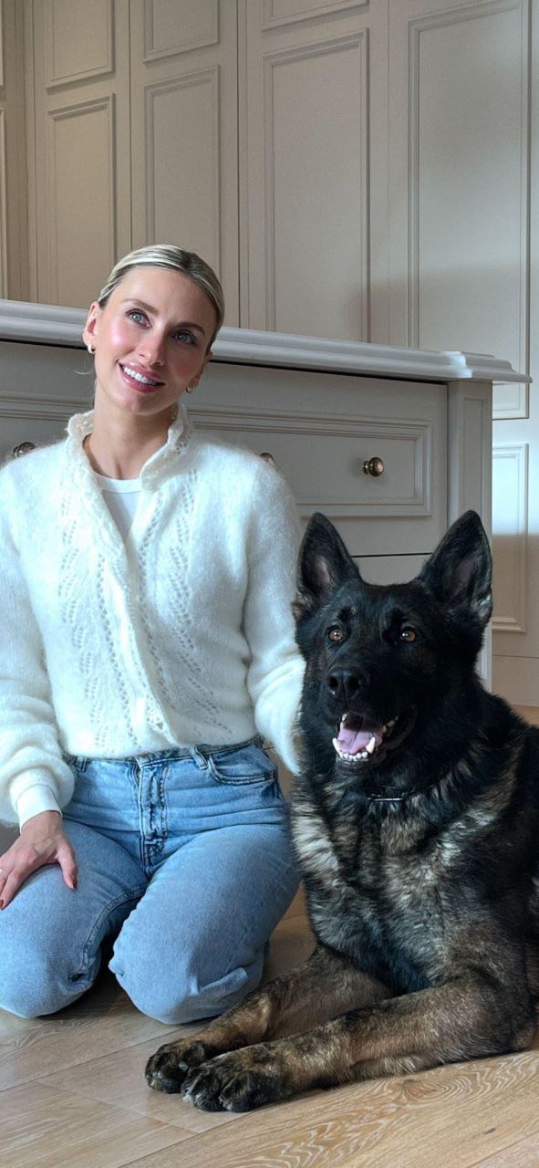 Family Protection Dogs For Home Security