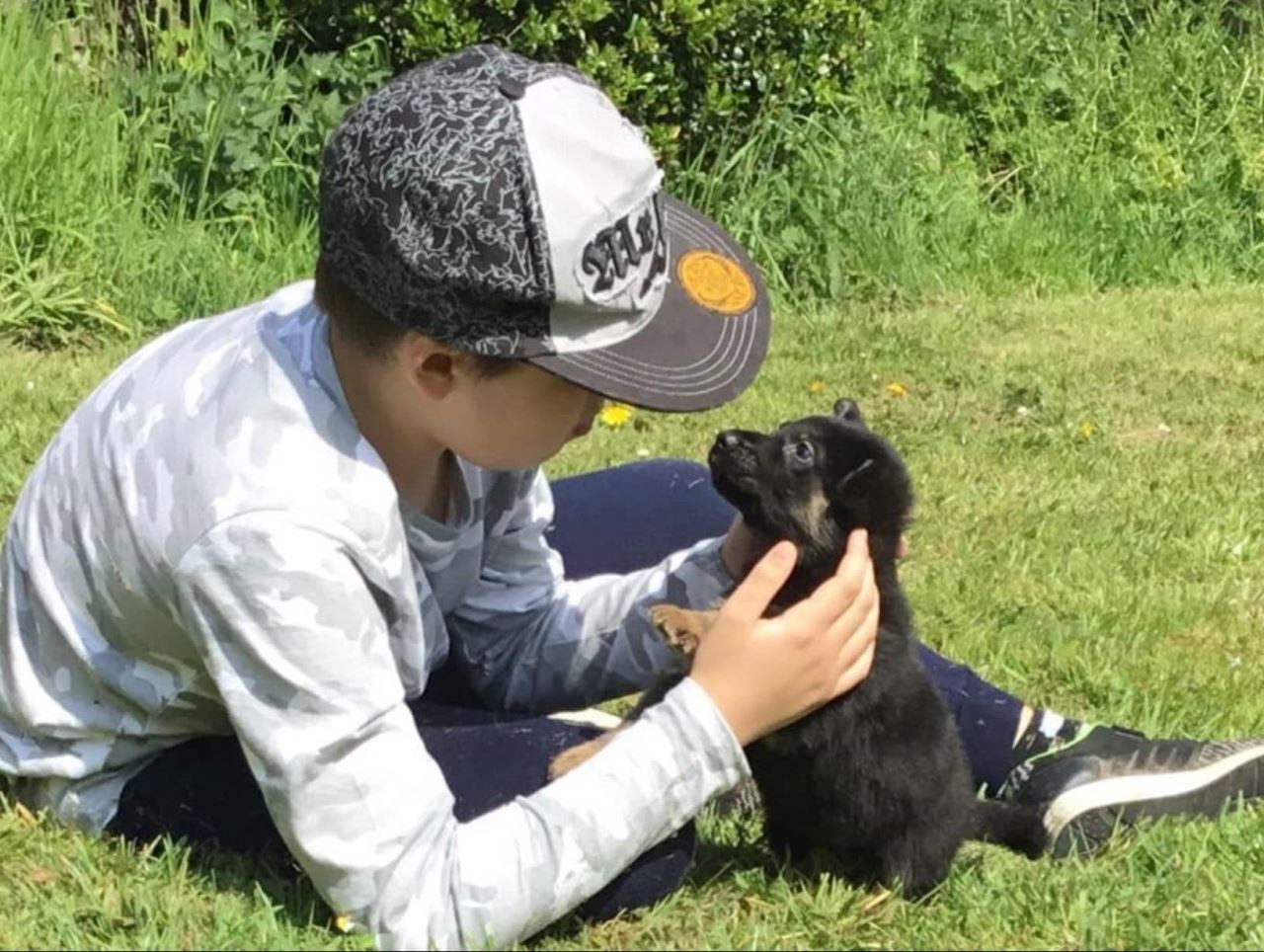 From Puppies To Protectors